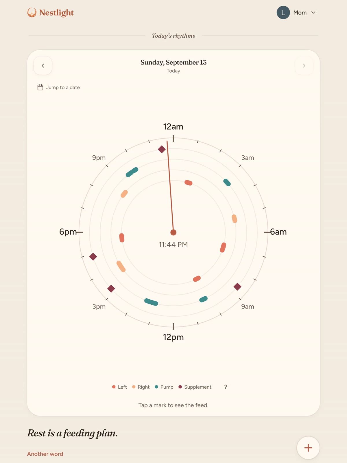 Nestlight Today: the 24-hour rhythm clock — feeds and pumps around the day, without a grade.